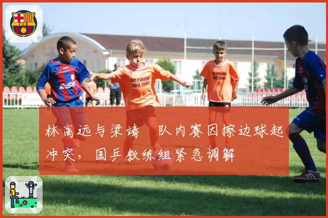 林高远与梁靖崑队内赛因擦边球起冲突,国乒教练组紧急调解
